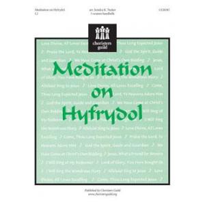 Meditation on Hyfrydol
